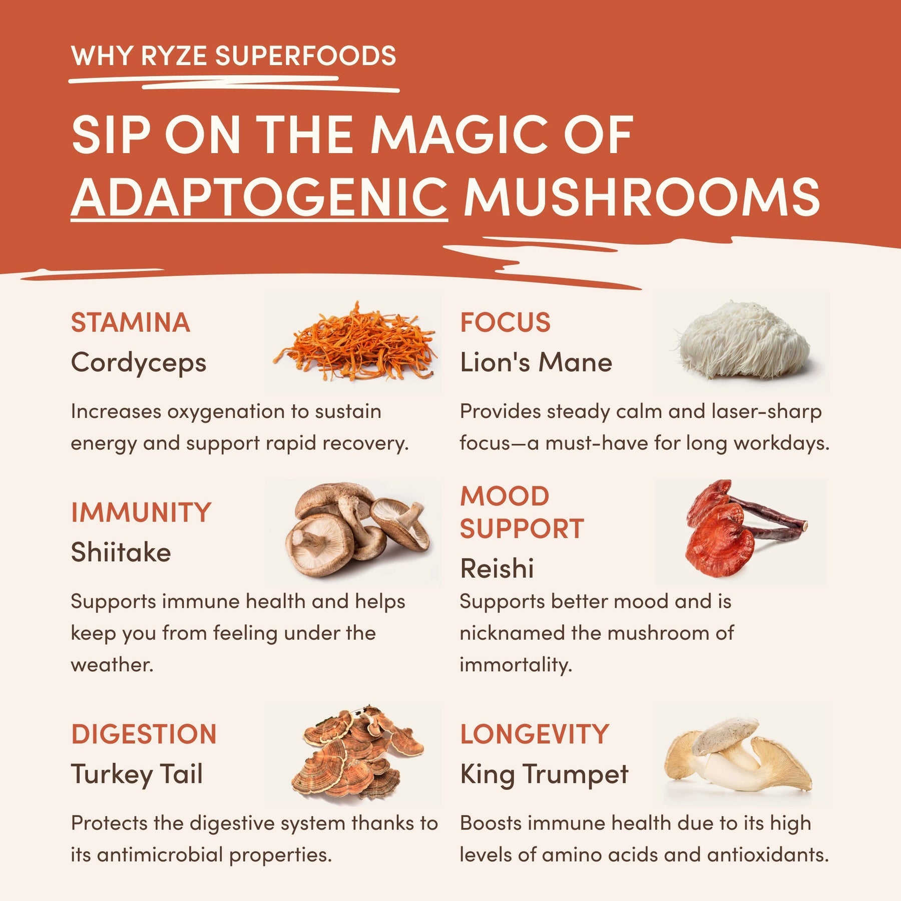 Caramel + Vanilla Creamer 3-Pack Add-On (SPECIAL PRICING)